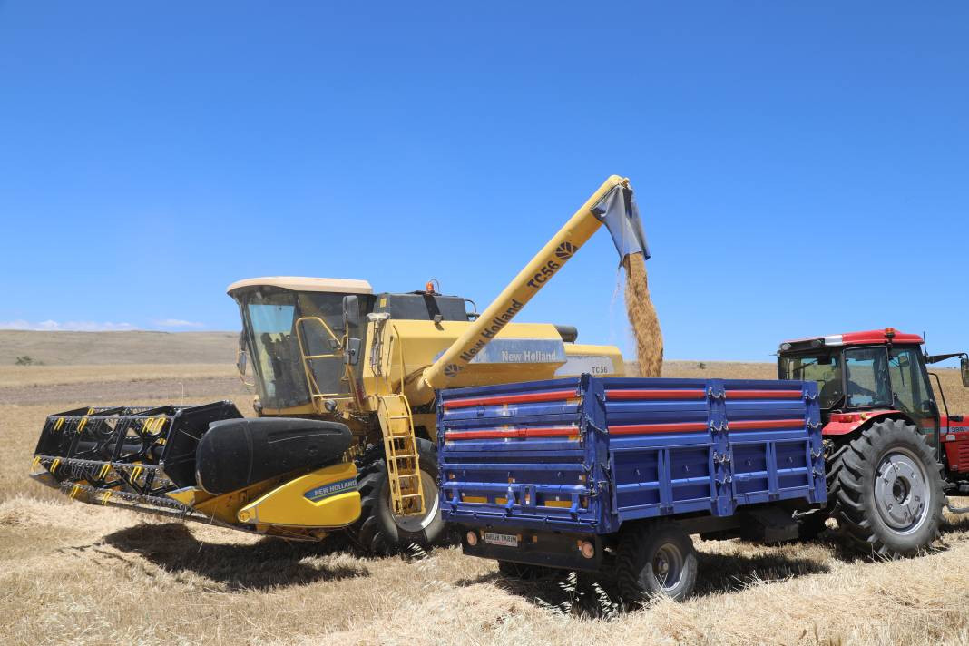 Çubuk Ovası'nda hububat hasadı başladı - Resim: 11